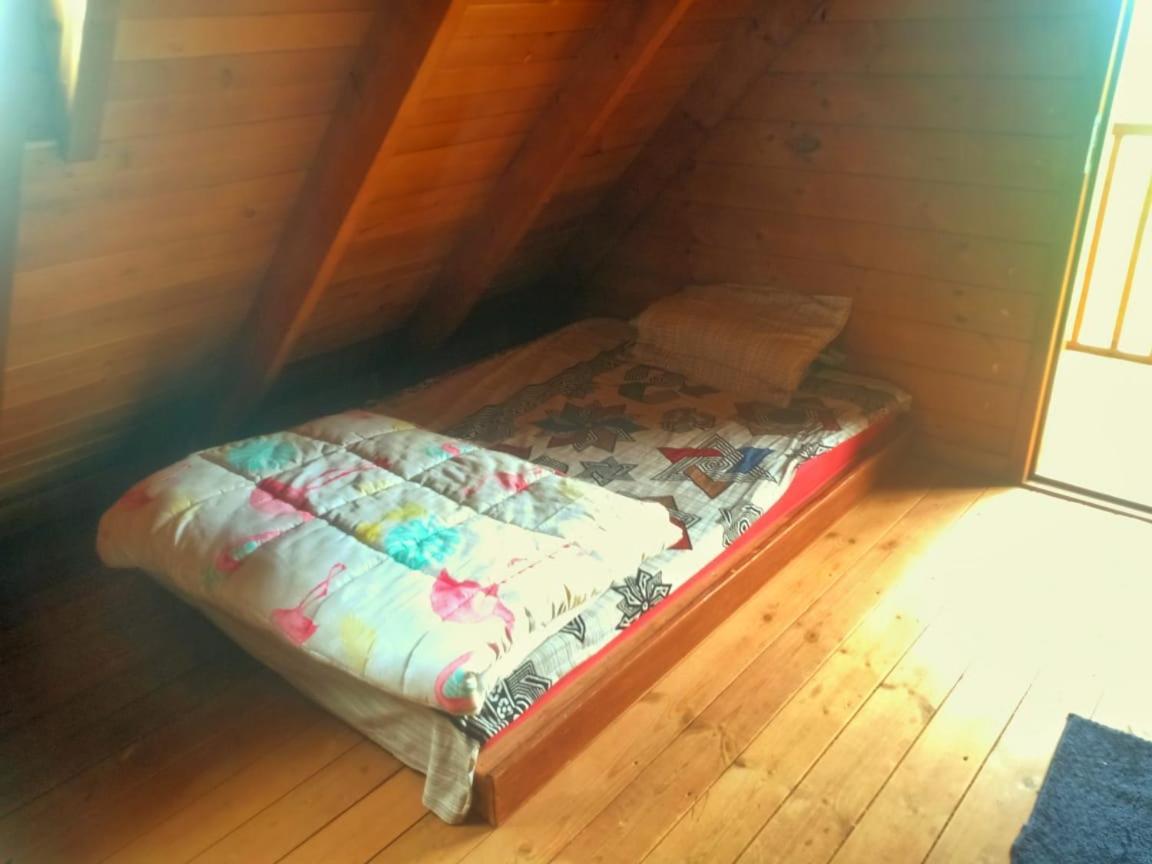 Joy Eco Woodhouse - 5 Bhk House (Adults Only) Villa Ooty Dış mekan fotoğraf